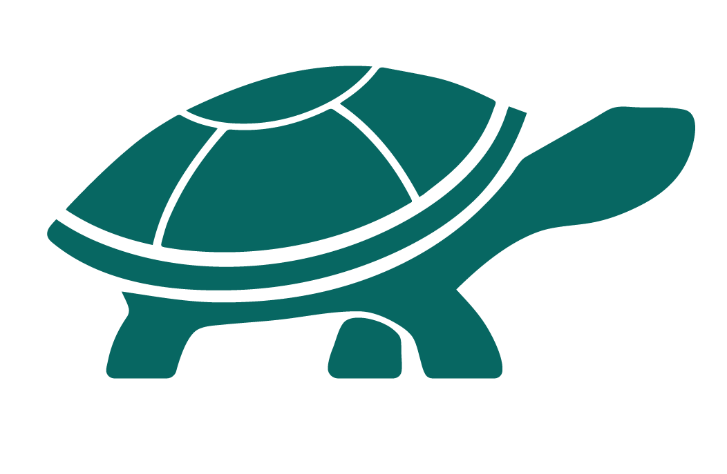 walking teal coloured tortoise, with head up and foot in the air